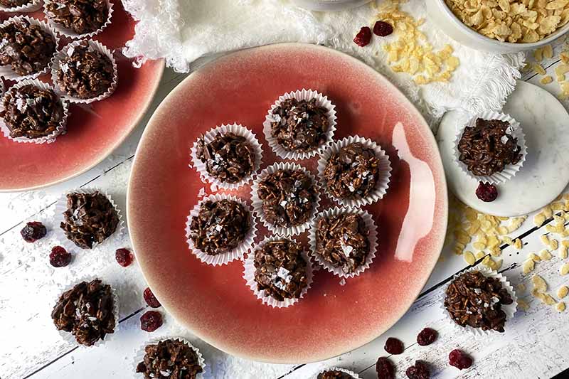 Horizontal top down image of two pink plates with small chocolate-covered treats in white liners.