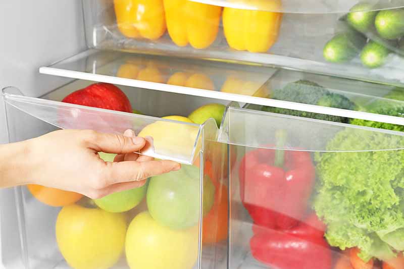 Horizontal image of a hand opening the door to a bin in the fridge full of produce.