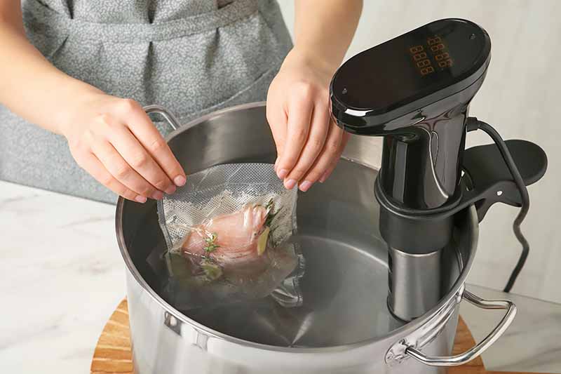 Horizontal image of hands inserting a plastic-sealed cut of raw meat in a monitored pot of hot water.