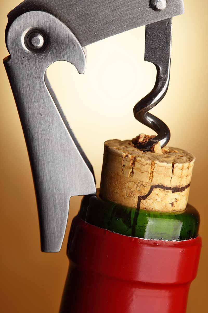 Vertical image of removing the cork from a glass bottle.