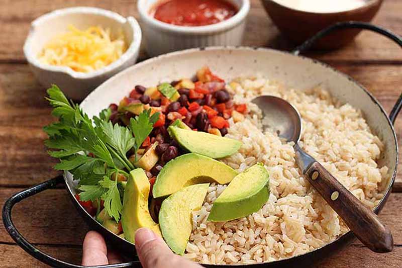 Horizontal image of a plate full of brown rice, avocado slices, fresh herbs, and salsa.