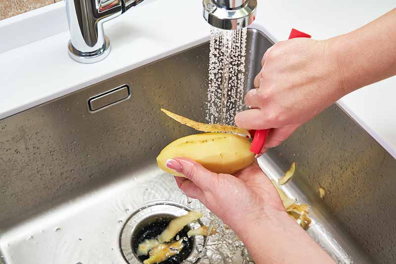 Horizontal image of peeling potato skins over a kitchen sink with the water running.