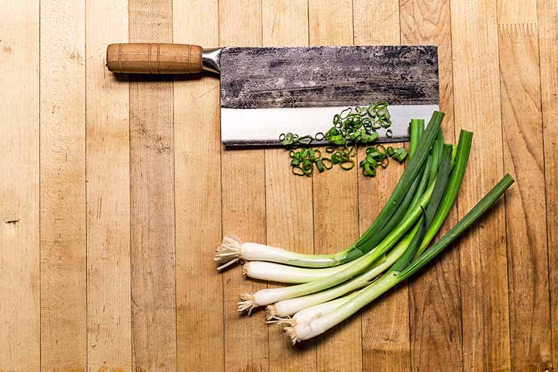 Horizontal image of whole and sliced scallions on a cutting board next to a large knife.