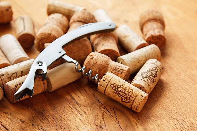 Horizontal image of a double hinged opener on top of corks.