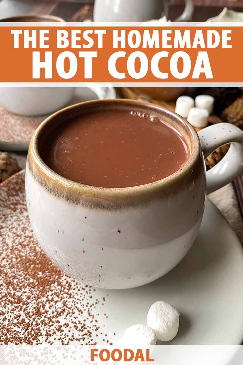 Vertical image of a mug filled with a chocolate beverage on a plate next to marshmallows, with text on the top and bottom of the image.