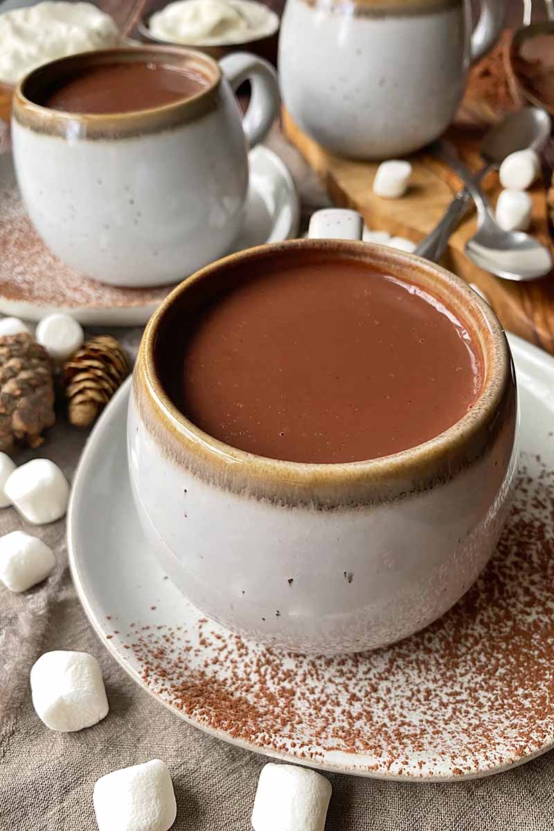 Vertical image of mugs filled with a chocolate-based beverage on plates dusted with powder.