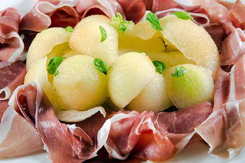 Horizontal image of melon balls in the middle of prosciutto.