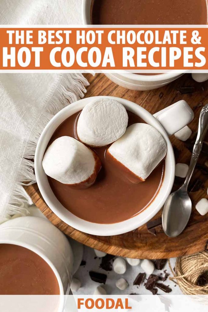 Vertical top-down image of mugs filled with a creamy brown beverage topped with marshmallows next to a white towel and metal spoons.