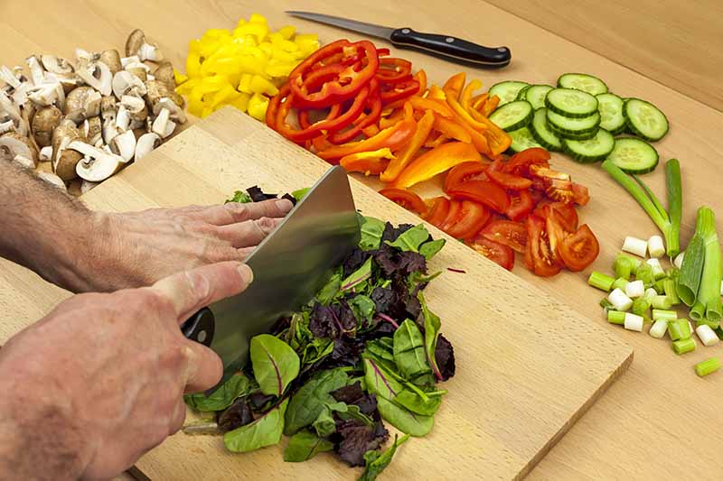 Horizontal image of slicing lettuce on a board surrounded by other fresh and sliced produce.