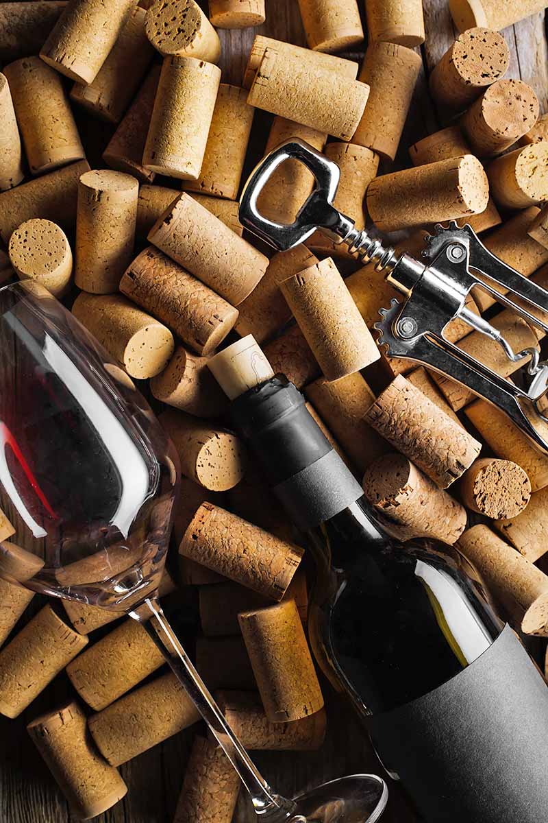 Vertical image of corks underneath a glass, bottle, and opener.