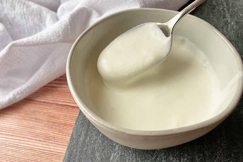 Horizontal image of thick cream in a white bowl.