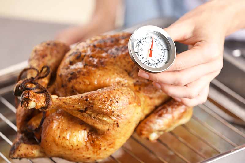 Horizontal image of a meat thermometer held with a hand inserted in to a roast chicken.