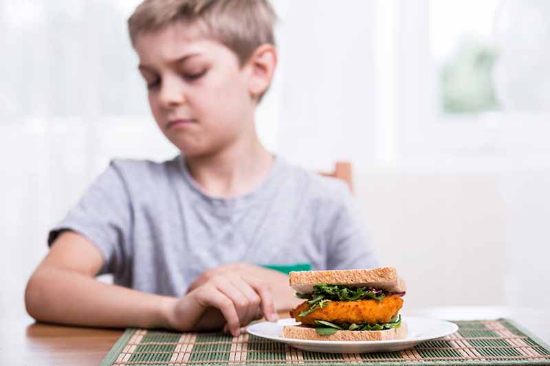 Horizontal image of a boy refusing a sandwich on a plate.