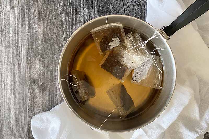 Horizontal image of steeping water in a pot with tea bags.