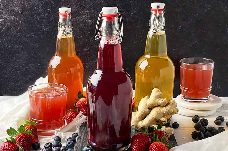 Horizontal image of glass bottles filled with colorful juices next to fresh fruit.