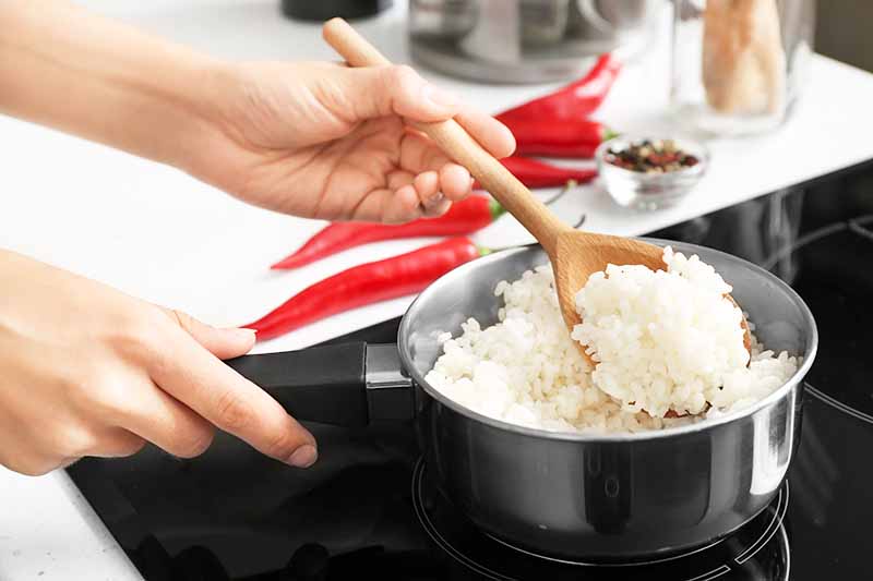 Horizontal image of preparing rice in a pot on the stovetop.