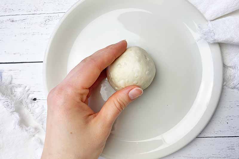 Horizontal image of forming a round piece of dough on a white plate.