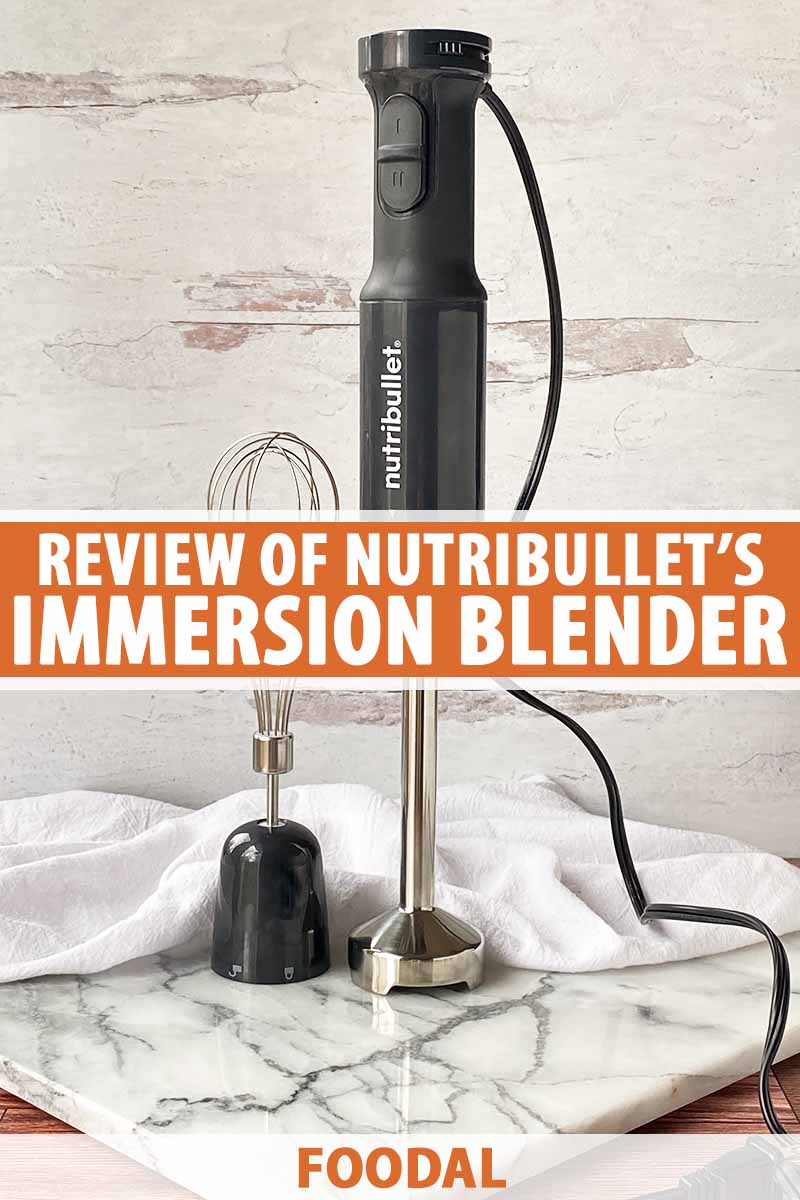 Nutribullet NBI50100 Immersion Blender Review