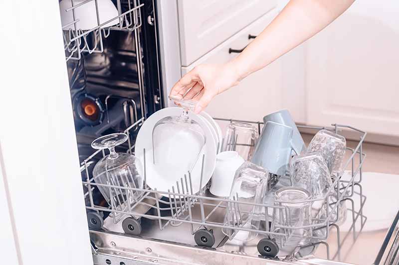 Horizontal image of removing clean plates and glasses from the bottom rack of a cleaning kitchen appliance.