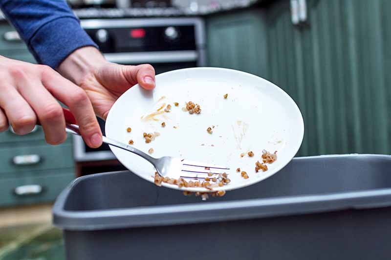 Horizontal image of scraping extra food from a plate over a garbage can.