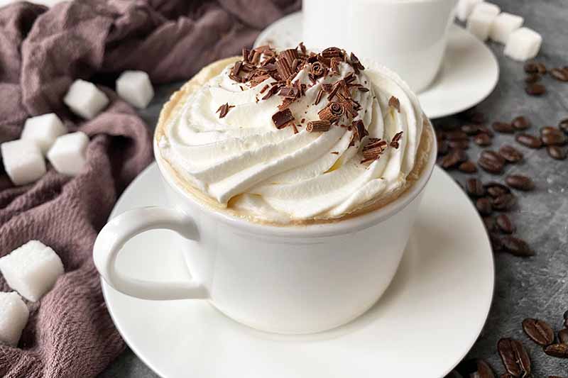 Horizontal image of a white cup filled with a coffee beverage topped with whipped cream and shaved chocolate.
