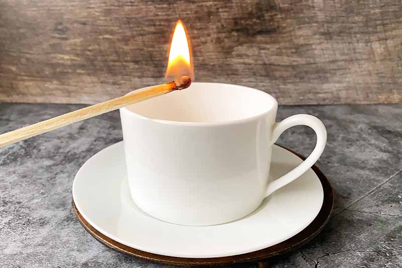 Horizontal image of a matchstick with a flame over a white cup on a white plate.