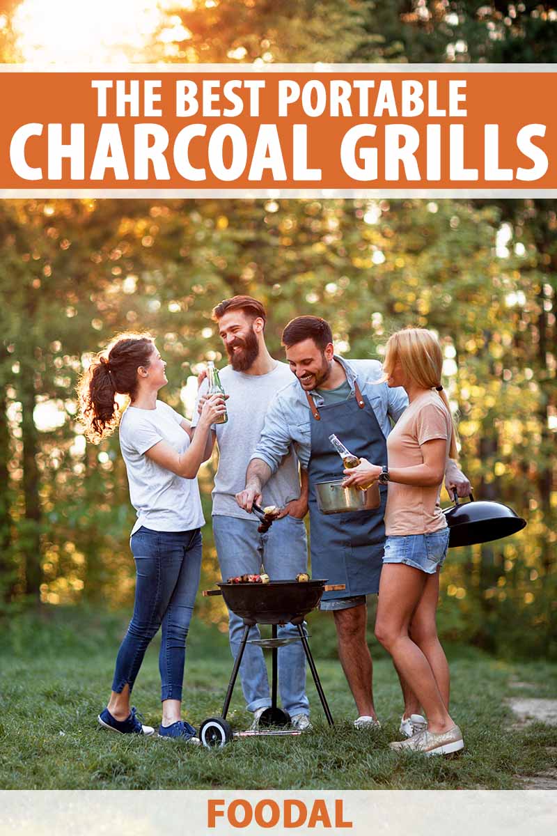 Vertical image of a group of young adults cooking outdoors in a forest.