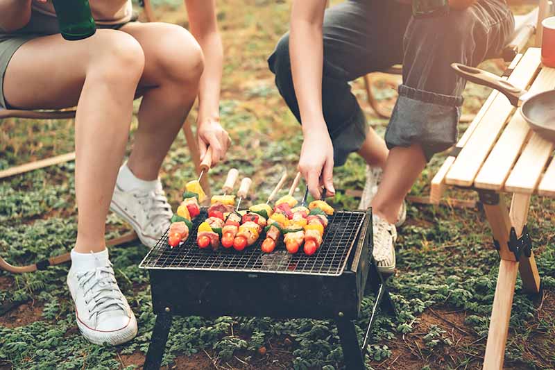 今年も話題の Oven BBQ Grill Household Portable Mini Smoke Free Charcoal Barbecue  Accessories Heat Resistant Cast Iron Pot House Outdoor