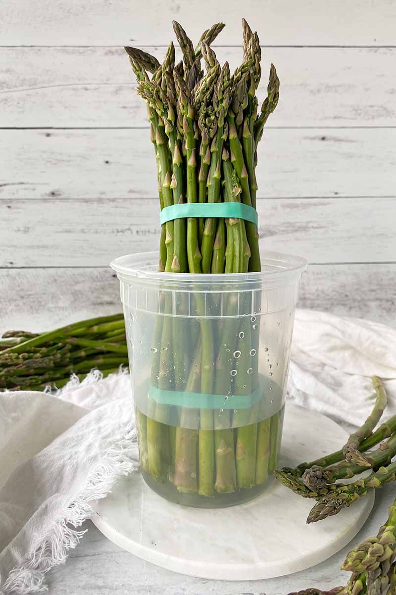 Horizontal image of storing a bouquet of stalky green vegetables held together by rubber bands in a plastic container partially filled with water.