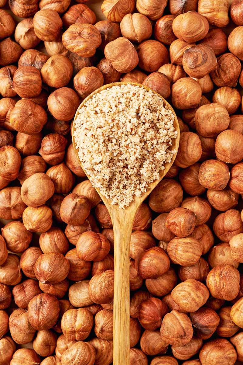 Vertical top-down image of hazelnut meal on a wooden spoon on top of whole hazelnuts.
