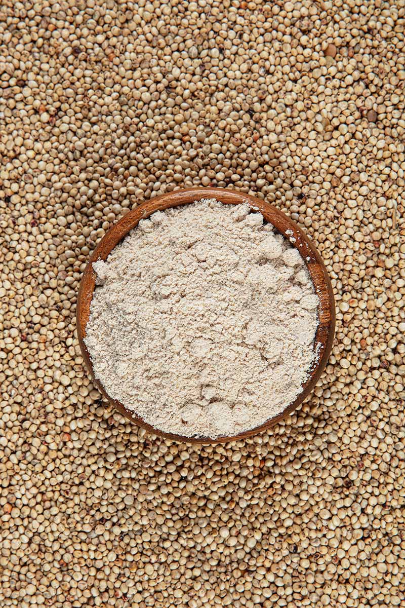 Vertical top-down image of milled and whole sorghum