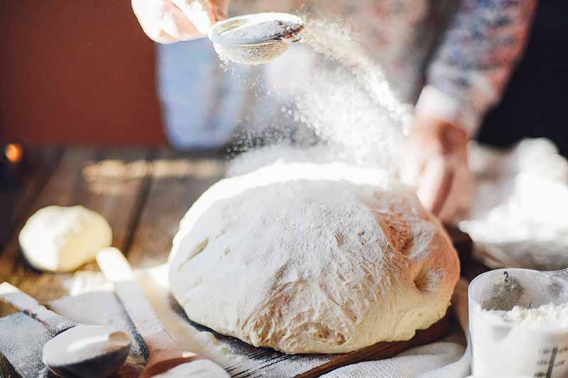 Horizontal image of a person making bread dough.