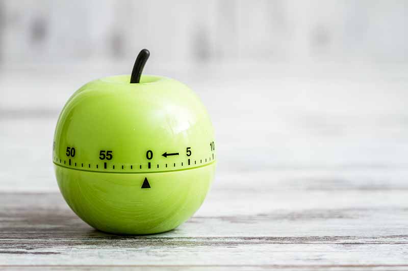 Horizontal image of a green apple-shaped timer on a gray wooden surface.