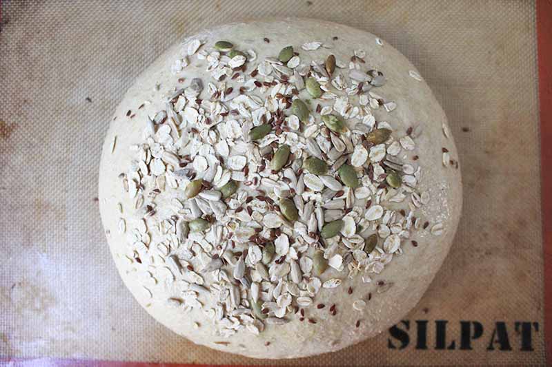 Horizontal top-down image of an unbaked round dough topped with oats on a Silpat-lined baking sheet.