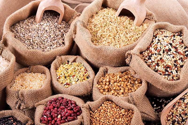 Horizontal image of assorted whole cereals, seeds, beans, and nuts in sacks.