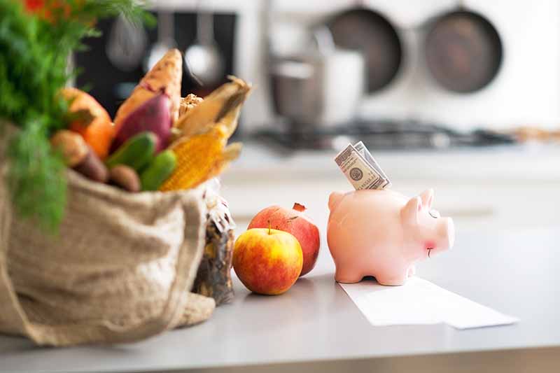 Horizontal image of money in a piggy bank on a countertop next to groceries.