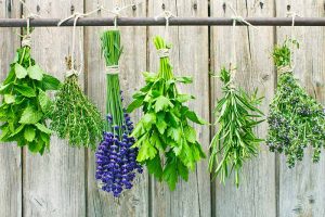 How to Preserve Fresh Herbs