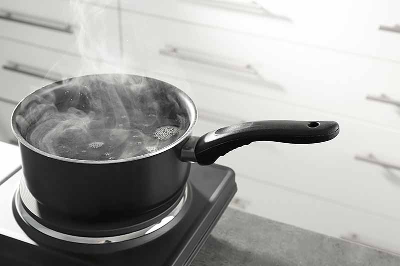 Horizontal image of a long-handled pot with steaming liquid on a burner.