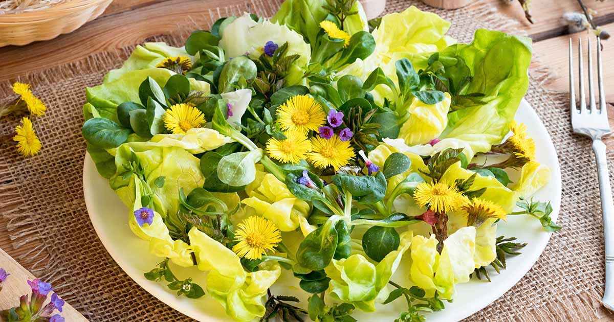 My ultimate guide to edible flowers for drinks and cooking • Leeks and High  Heels