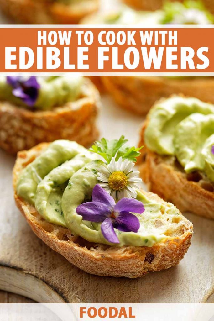 Vertical image of toasts topped with avocado cream and fresh garnishes, with text on the top and bottom.