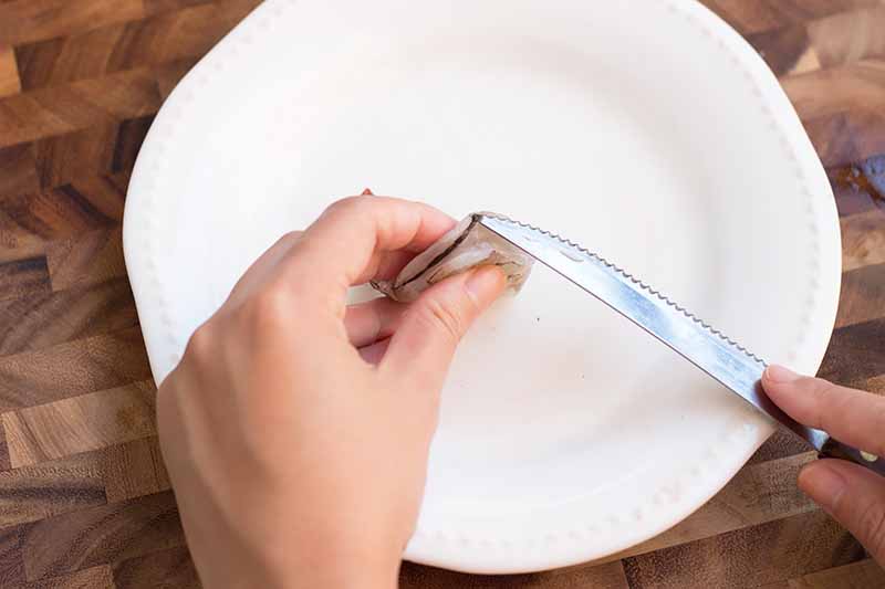 Horizontal image of removing the digestive tract of a raw prawn with a knife over a white plate.
