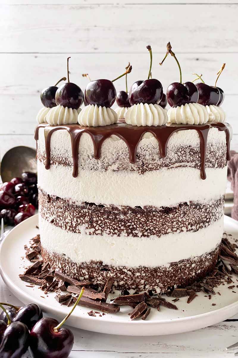Vertical image of a layered torte with white frosting, sponge, ganache, and whole fruit garnishes.