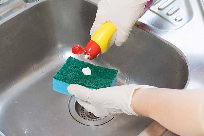 Horizontal image of applying detergent to the abrasive side of a sponge.