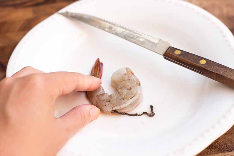 Horizontal image of removing the intestinal tract of a raw peeled prawn on a white plate next to a knife.