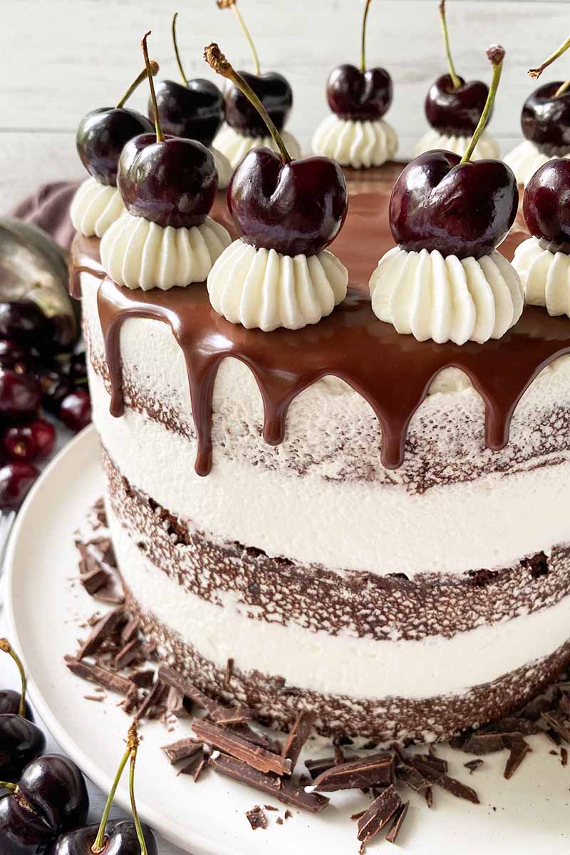 Vertical close-up image of a whole torte with layers of white frosting and sponge, with a garnish of ganache and whole fresh fruit.