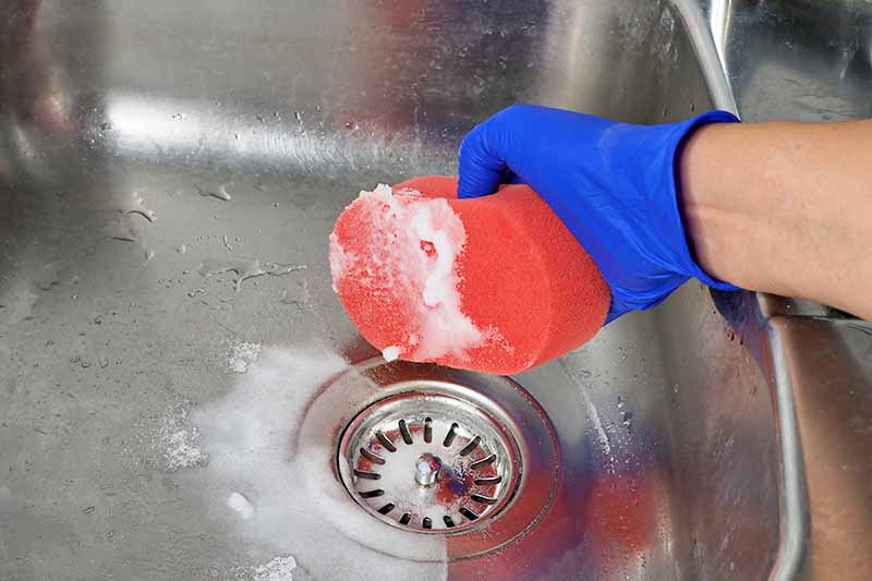Horizontal image of a gloved hand using a sponge and baking soda in a sink.