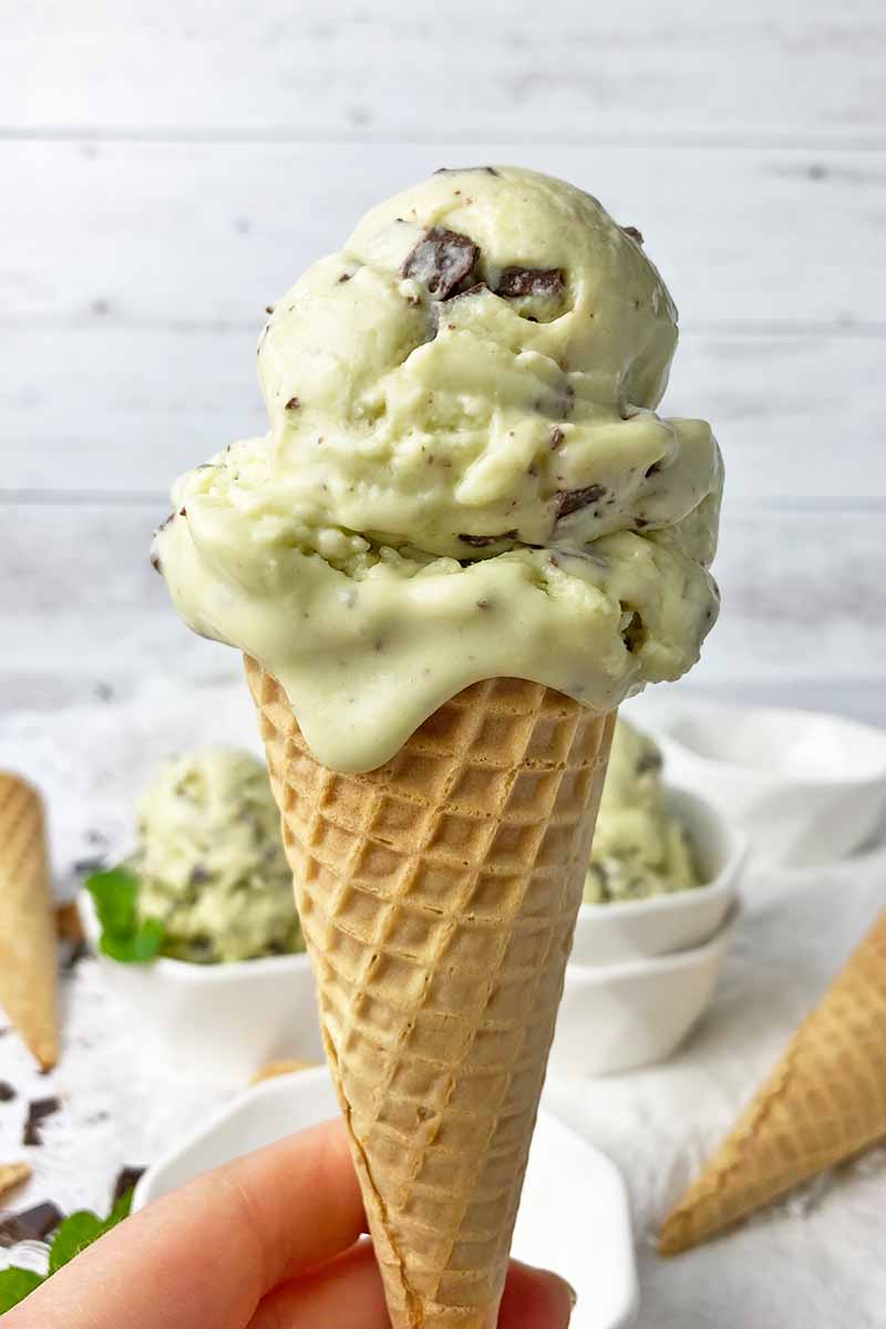 Vertical image of a hand holding a sugar cone topped with scoops of light green ice cream.