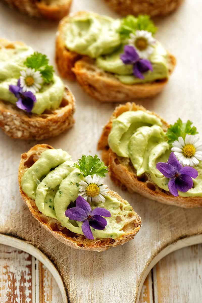 Vertical image of toasts topped with avocado cream and fresh garnishes.