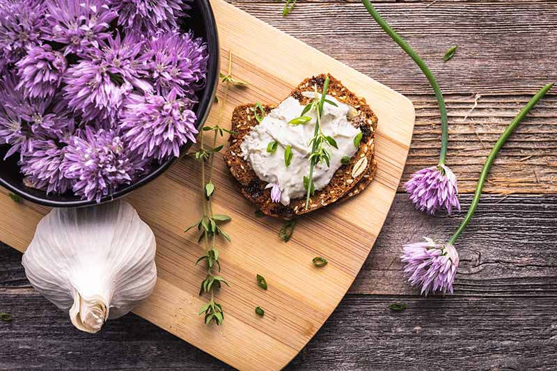 Horizontal image of chive blossoms next to whole garlic and a slice of toast with a cream cheese spread
