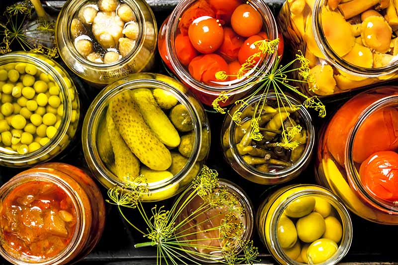 Horizontal image of assorted pickles in glass containers.
